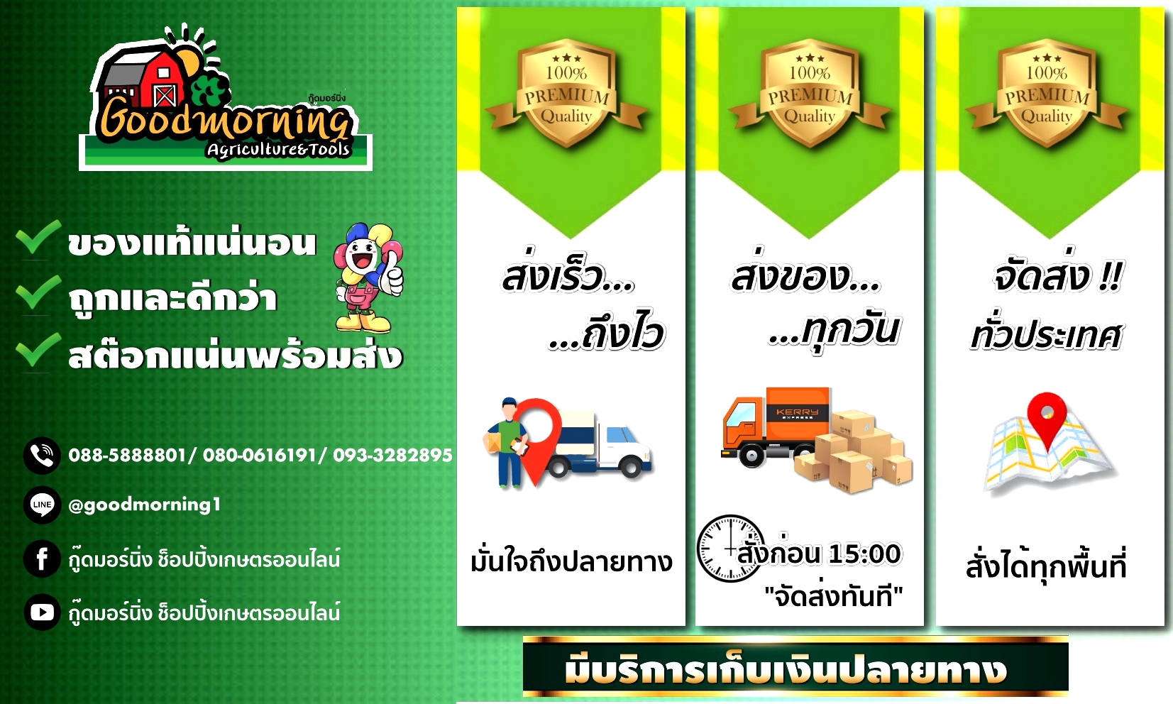ACECO5ตัว-3