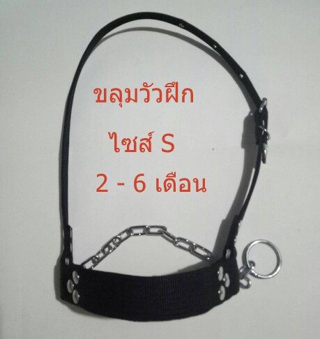 ขลุมวัว- ฝึก แบบเชือกหนาทนทานแข็งแรง?เหล็กชุปโคลมเมี่ยมแท้?