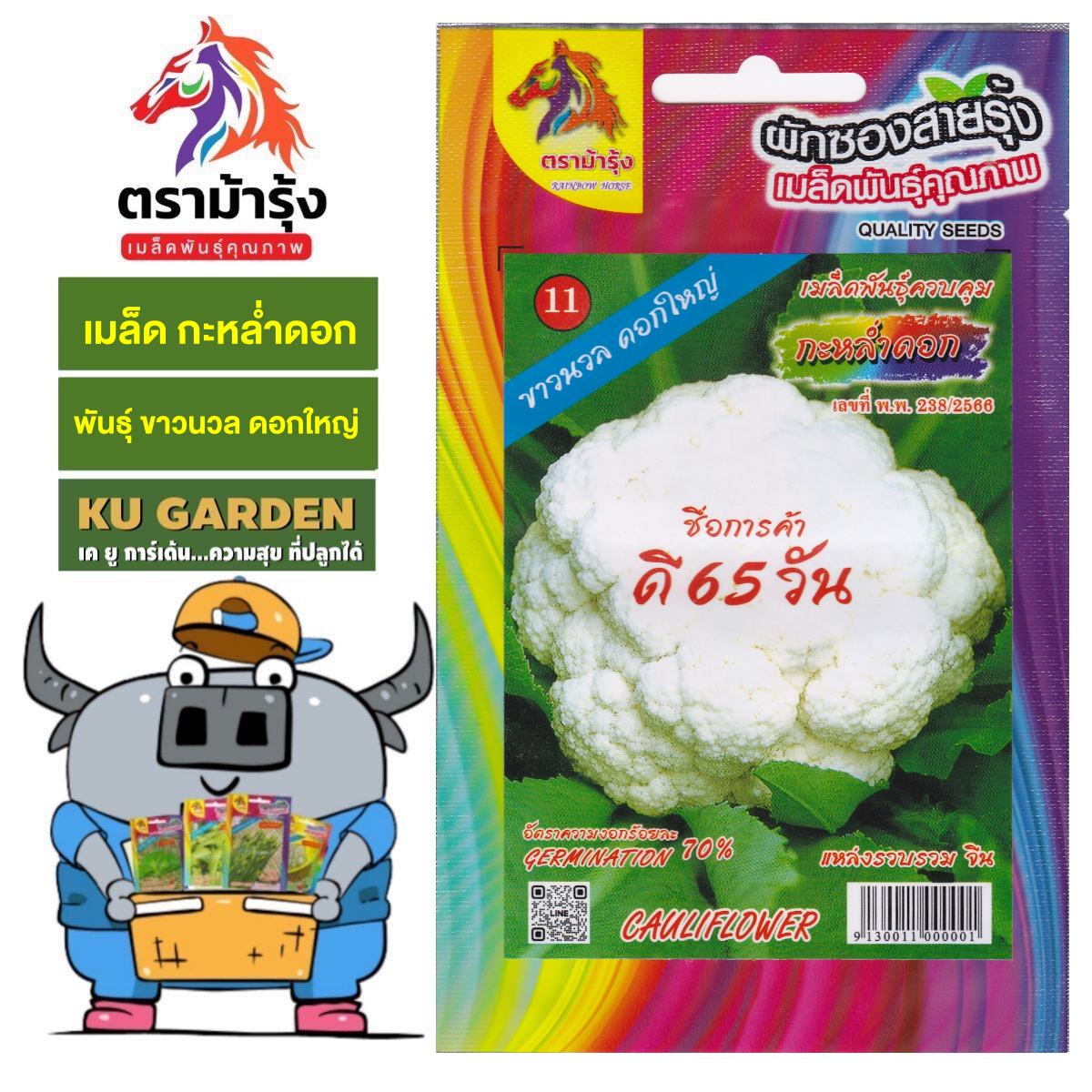 ม้าร้ง-0