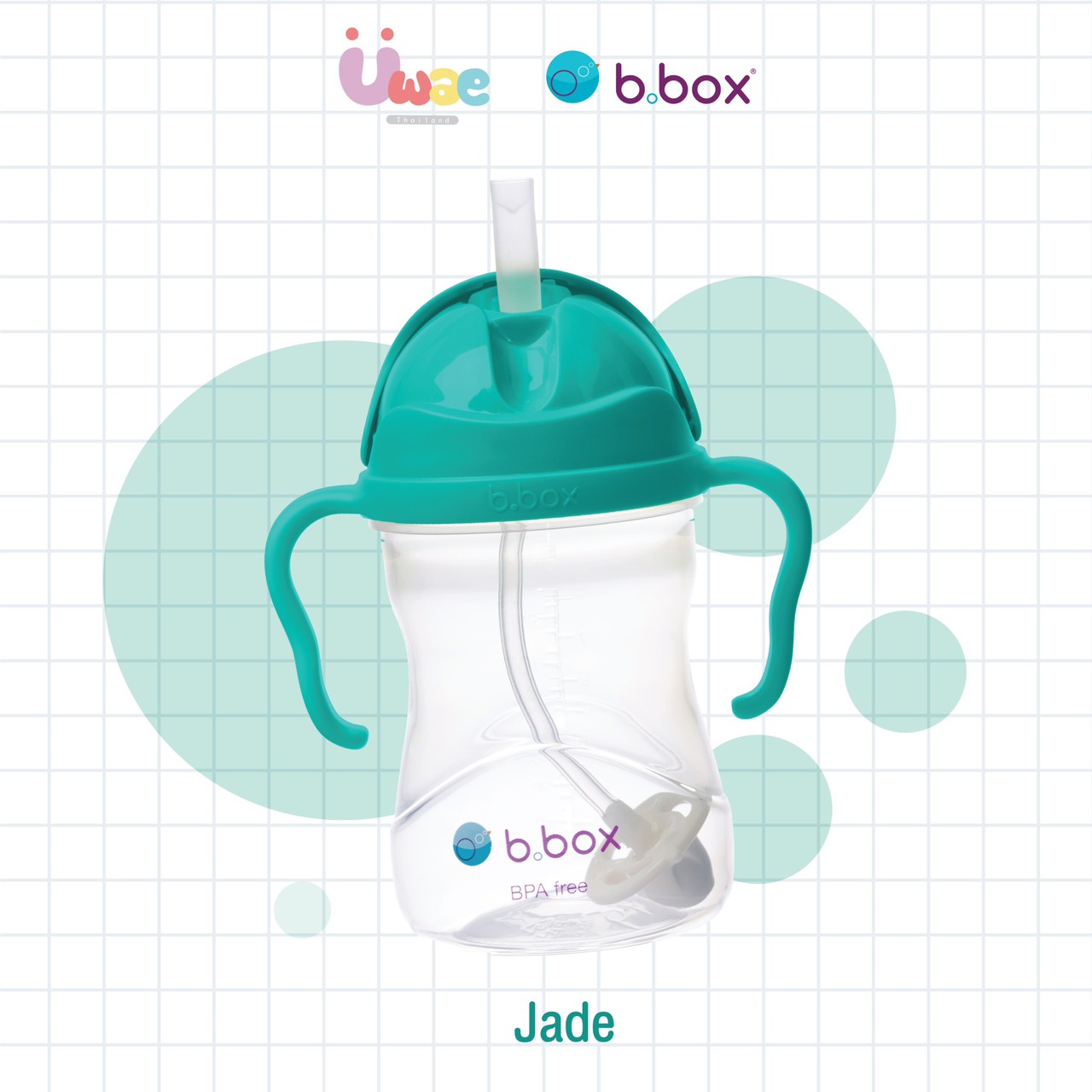 Bbox Sippy Cup ขวดหัดดื่มจากออสเตรเลีย