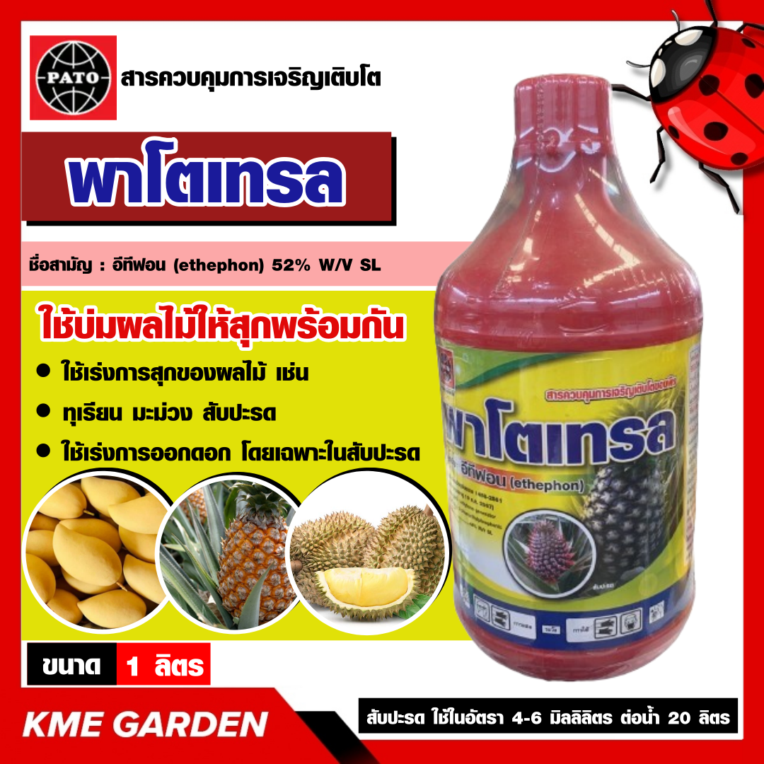 พาโตเทรล ขนาด 1ลิตร อีทีฟอน 48% เร่งการสุกของผลไม้ ทุเรียน มะม่วง กล้วย เร่งการออกดอกโดยเฉพาะในสับปะรด เร่งน้ำยาง สารเร่งการเจริญเติบโต