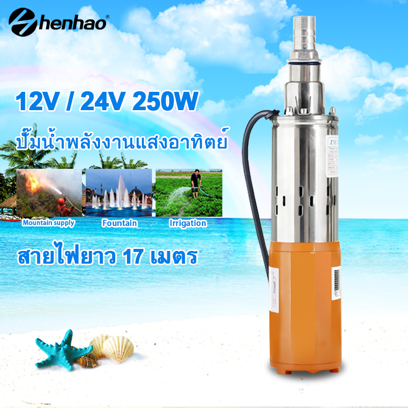 ปั้มน้ำโซลาเซล12/24Vปั๊มจุ่ม ปั๊มแช่ ไดโว่ Solar DC 24V 250W แผงโซลาร์ขับตรง ดูดน้ำขัง สายไฟยาว 7เมตร （ไม่รวมแผง）