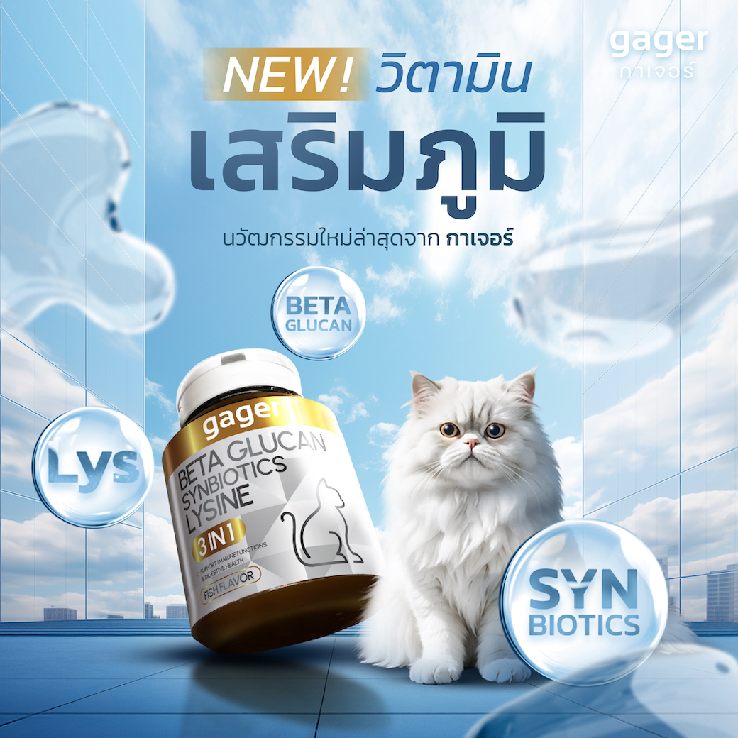 Gager (กาเจอร์) วิตามินแมว 3in1 เบต้ากลูแคน+ไลซีน+ซินไบโอติก เสริมภูมิแมว กลิ่นปลา (มีตัวเลือก) ราคา 490 บาท*ส่งฟรี