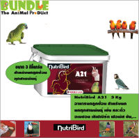 NutriBird  A21   3 Kg อาหารนกลูกป้อน สำหรับนก นกทุกสายพันธุ์ เช่น กระตั้ว อเมซอน เลิฟเบิร์ด ฟอพัส ซัน..