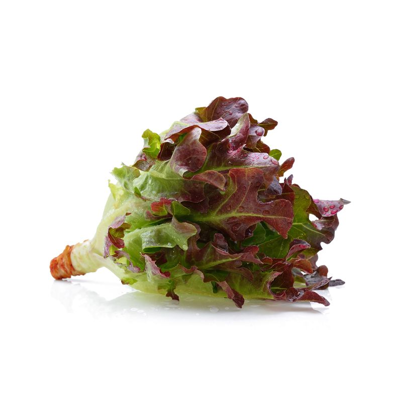 สีเขียว-3