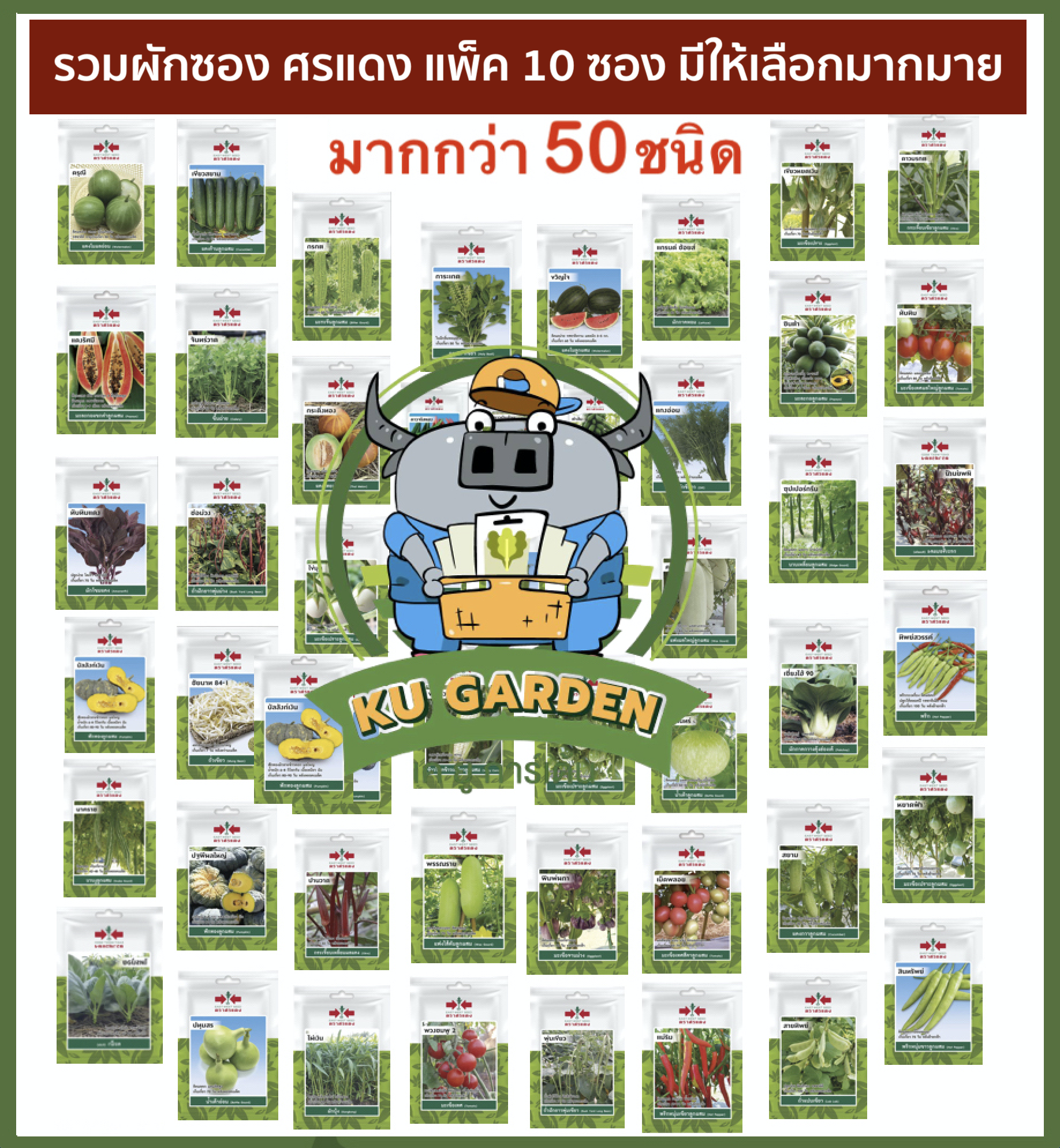 SORNDAENG 🇹🇭 รวมผักศรแดง ผักซอง ศรแดง *แบบแพ็ค10ซอง* 50 กว่าชนิด มะเขือ พริก แตงโม ข้าวโพด ผักชี กะเพรา คะน้า บวบ มะละกอ เมล็ดผัก