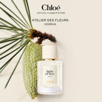 น้ำหอมผู้หญิง Chloé Atelier Des Fleurs Cedrus Eau De Parfum For Women | Symbol of Loyalty | Woody Sparkling Sensual Perfume