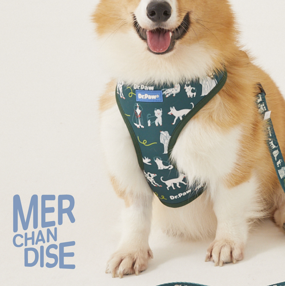 DR.PAW DOG HARNESS WITH LEASH BLUE SET เซ็ทสายรัดอก พร้อมสายจูง สำหรับสุนัขและแมว สีน้ำเงิน ราคา 760 บาท*ส่งฟรี