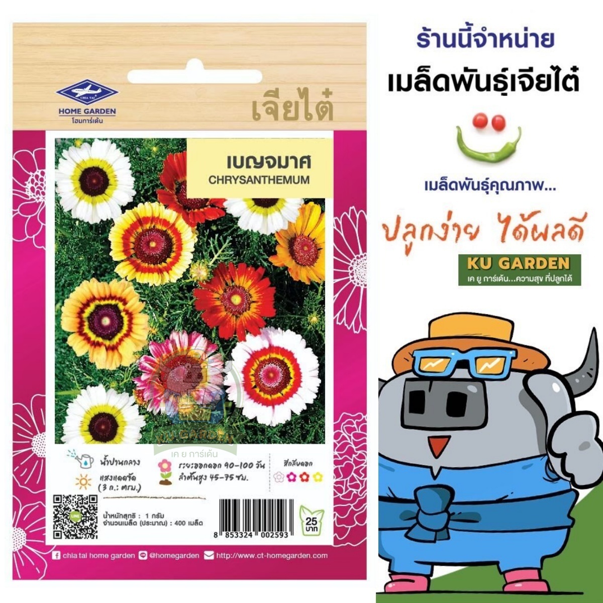 CHIATAI 🇹🇭 ดอกไม้ เจียไต๋ H018#เบญจมาศ ดอกไม้ซอง ผักซอง เมล็ดพันธุ์ เมล็ดพันธุ์ผัก เมล็ดพันธุ์ดอกไม้ ดอกไม้เจียไต๋ ตราเครื่องบิน