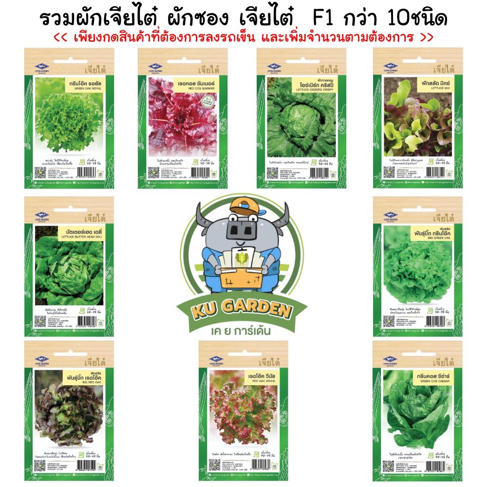 CHIATAI 🇹🇭 รวมผักเจียไต๋ ผักซอง เจียไต๋  F1 กว่า 10ชนิด *คละชนิดได้ เพียงกดเพิ่มชนิดลงรถเข็น* เรดโอ๊ด กรีนโอ๊ค สลัดมิกซ์ บิ๊กเรดโอ๊ค