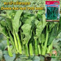 เมล็ดพันธุ์ คะน้าฮ่องกง F1 เมล็ดพันธุ์แท้ OP คะน้าเห็ดหอม บรรจุ 400 เมล็ด Chinese Kale Seed Vegetable Seeds for Planting เมล็ดคะน้า เมล็ดพันธุ์ผัก ผักออร์แกนิก เมล็ดบอนสี ผักสวนครัว ต้นไม้มงคล ต้นผลไม้ บอนไซ พันธุ์ผัก เมล็ดผัก ปลูกง่าย ปลูกได้ตลอดปี