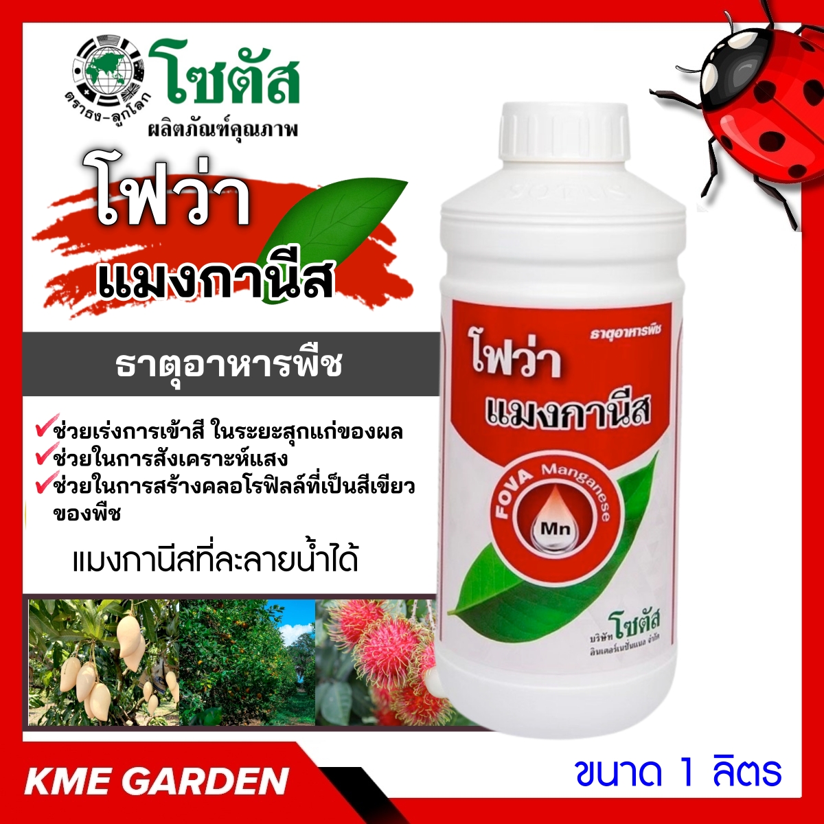 โฟว่า แมงกานีส-0