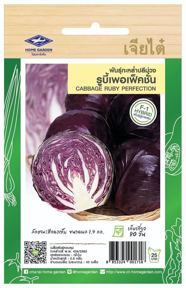 กะหล่ำปลีม่วง-1