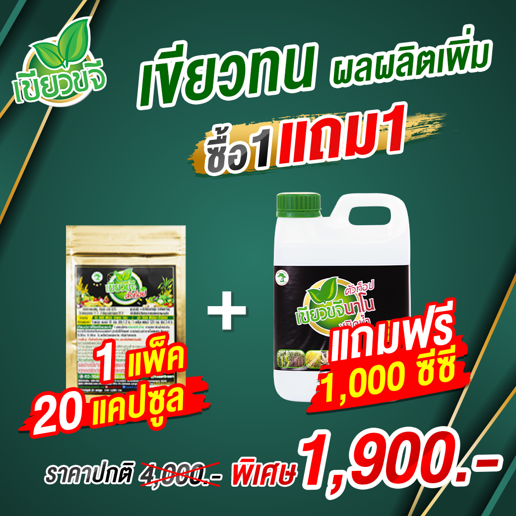Greenpure Greennano TOP (size s) ราคา 1,761 บาท*ส่งฟรี