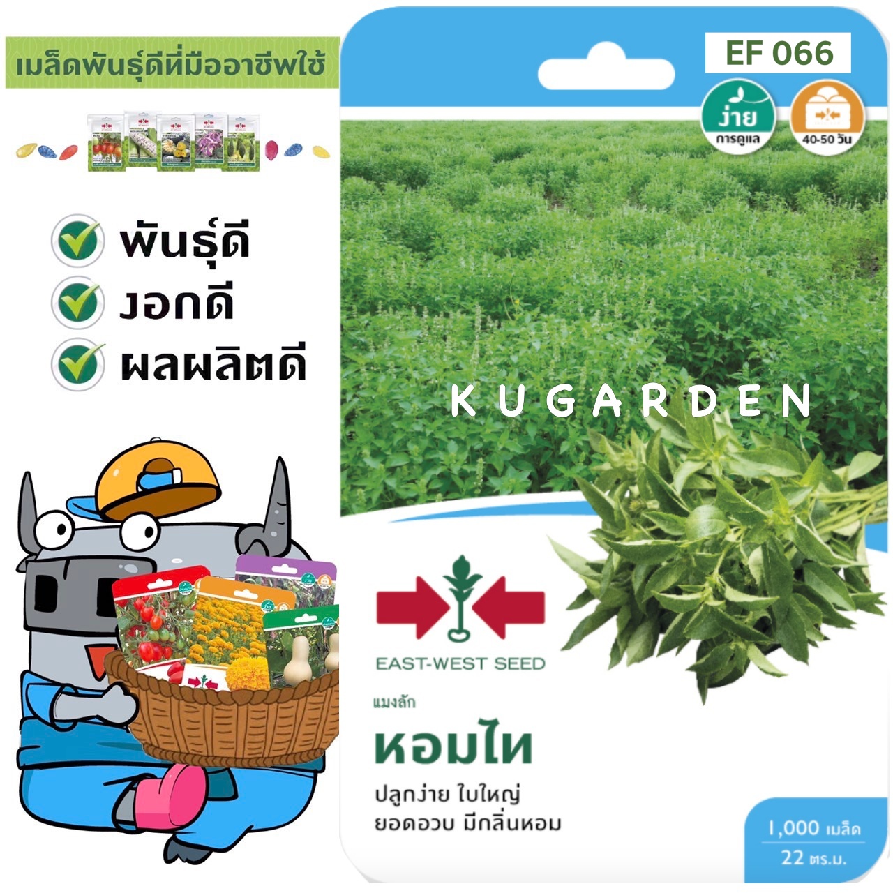 SORNDAENG 🇹🇭 ผักซอง ศรแดง S099# แมงลัก หอมไท F1 เมล็ดพันธุ์ เมล็ดพันธุ์ลูกผสม เมล็ดพันธุ์ผัก ผักสวนครัว ผักศรแดง