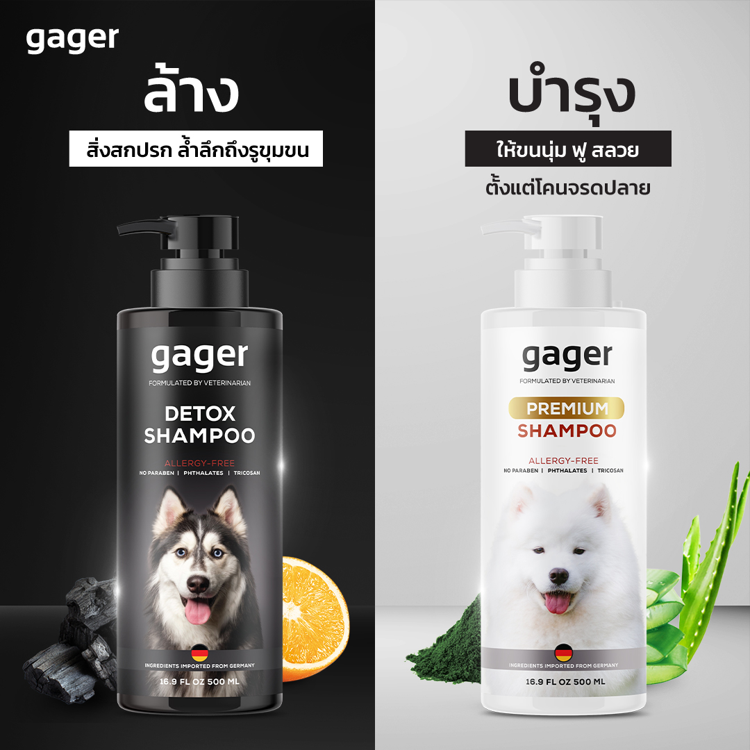 Gager (กาเจอร์) เซ็ตคู่ (500ml.) แชมพูอาบน้ำสุนัข แชมพูหมา แชมพูอาบน้ำหมาสูตรDetox+สูตรบำรุงขนนิ่ม ลดขนร่วง ลดอาการคัน อ่อนโยน กลิ่นหอมมาก ราคา 980 บาท*ส่งฟรี