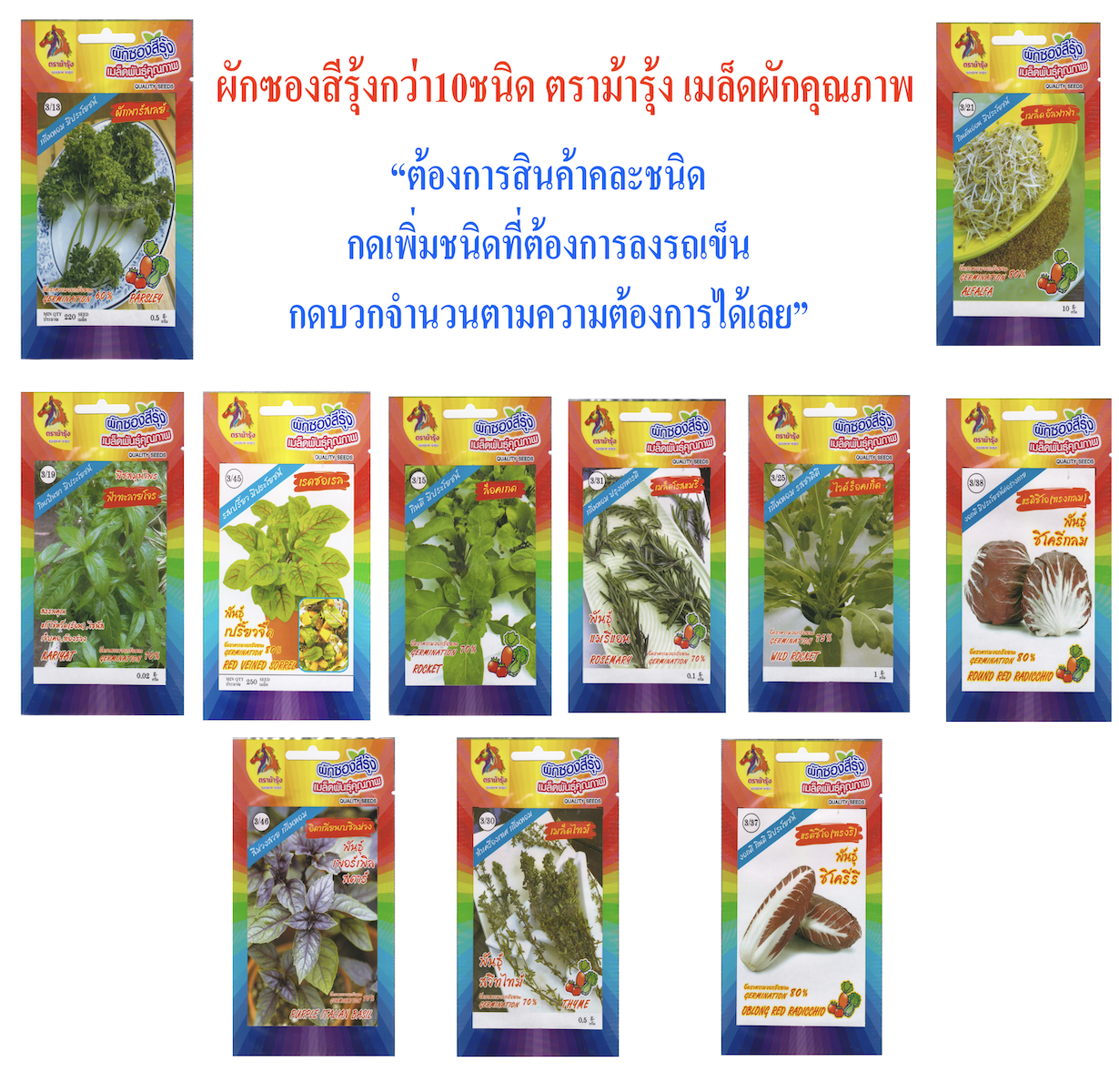 RAINBOWHORSE 🇹🇭 รวมผักม้ารุ้ง ผักซอง ม้ารุ้ง ผักสลัด 10 กว่าชนิด กรีนโอ๊ค เรคโอ๊ค คอส สลัด ผักนอก เมล็ดพันธุ์ เมล็ดพันธุ์ผัก ผักสวนครัว