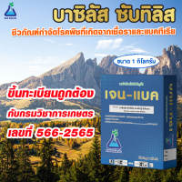 เจน-แบค ขนาด 1 กก. บาซิลลัส ซับทิลิส สายพันธุ์ บีเอ็ม-01 (เจนแบค) บีเอส bs Bacillus subtilis 1 x109 strain BM-01  (JANEBAC) 1 kg