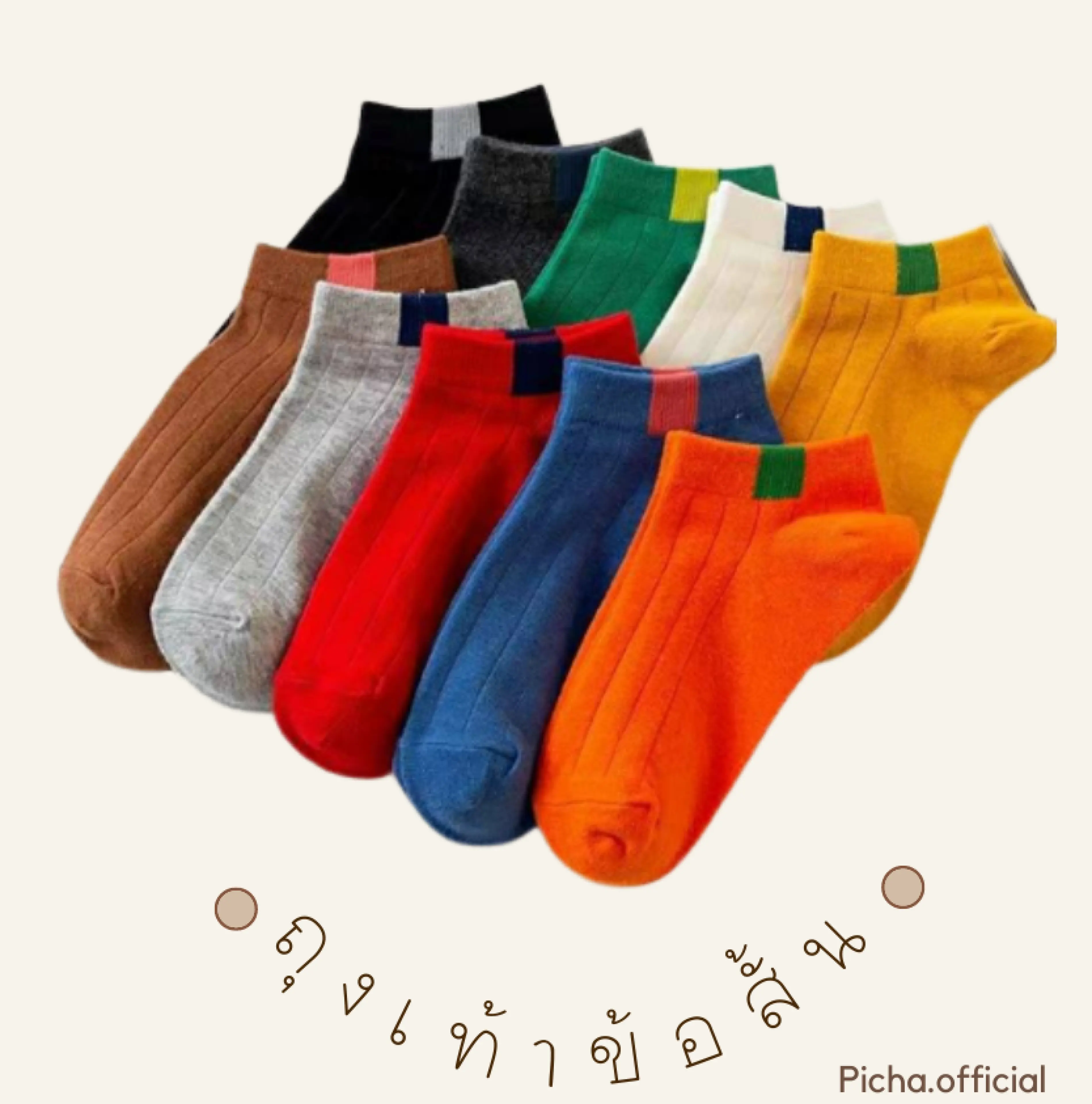 ถุงเท้าสีพื้น ถุงเท้าข้อสั้น ถุงเท้าทำงาน ถุงเท้าแฟชั่น ถุงเท้าผู้ชายและถุงเท้าผู้หญิง