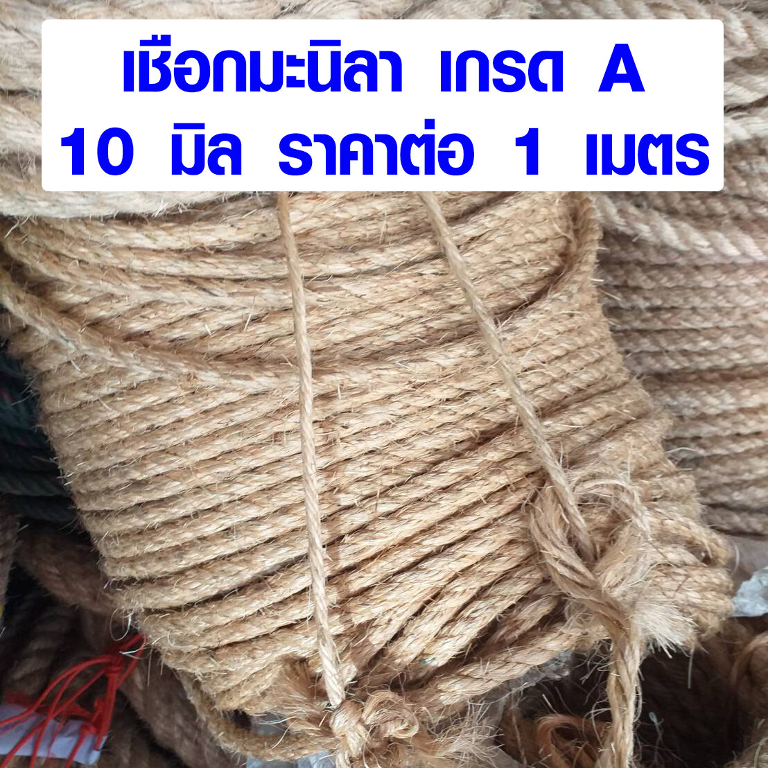 เชือกป่าน 10 มิล ราคาถูก ซื้อออนไลน์ที่ - ต.ค. 2022 | Lazada.co.th