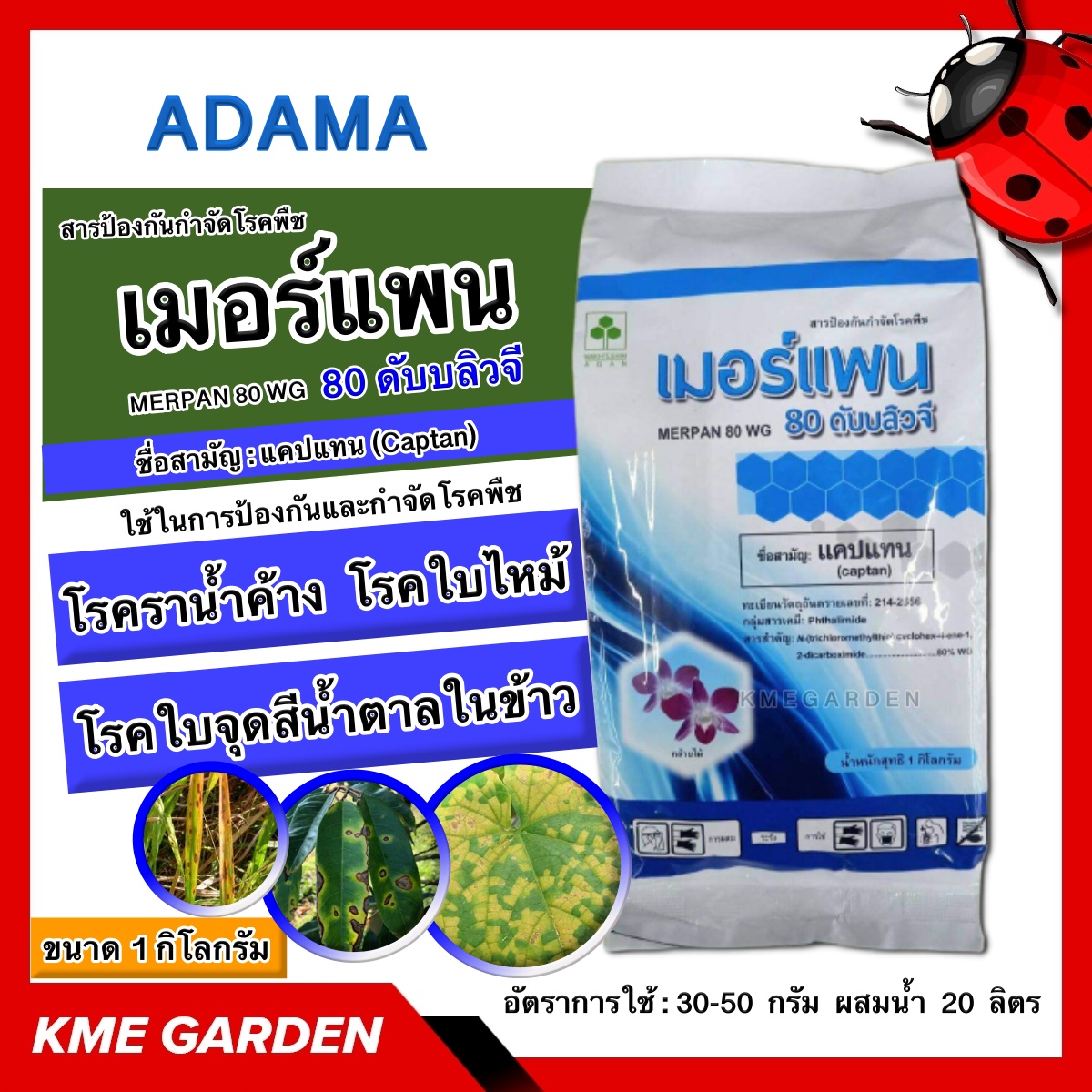 🦠โรคพืช🦠 เมอร์แพน แคปแทน ADAMA ขนาด 1 กก. โรคราน้ำค้าง แอนแทรคโนส โรคใบไหม้ โรคใบแห้ง โรคใบปื้นเหลือง โคนเน่า โรคใบจุดสีน้ำตาลในข้าว