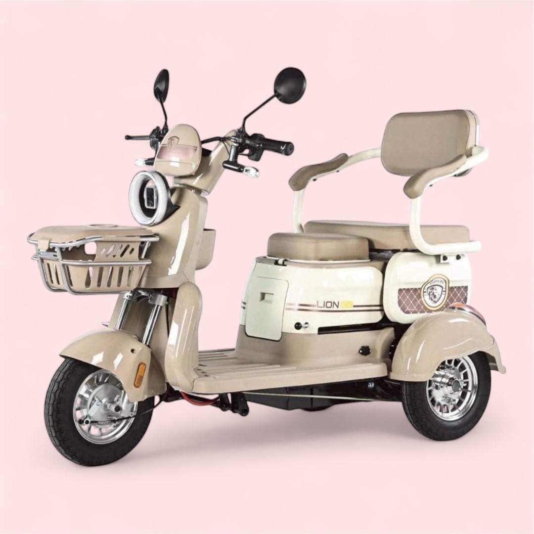 Electric Tricycle, Lion Brand, Model Lne-6719 ราคา 50,915 บาท*ส่งฟรี
