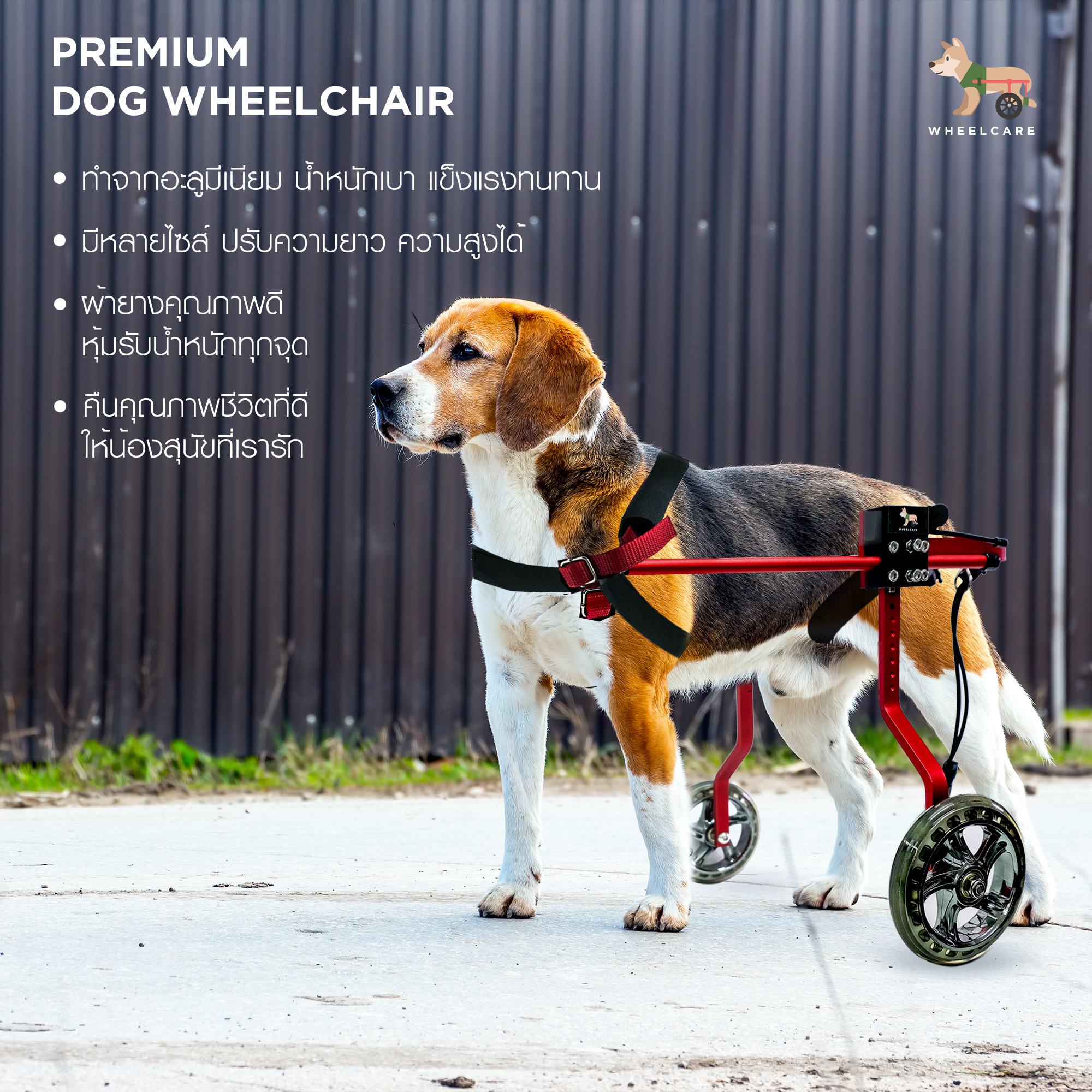 WHEELCARE - wheelchair dog วีลแชร์ รถเข็น สำหรับสัตว์พิการขาหลัง ทำจากอลูมิเนียมอัลลอยด์ คุณภาพสูง มีหลายขนาดปรับได้ตามรูปร่าง (สีแดง WR-1)