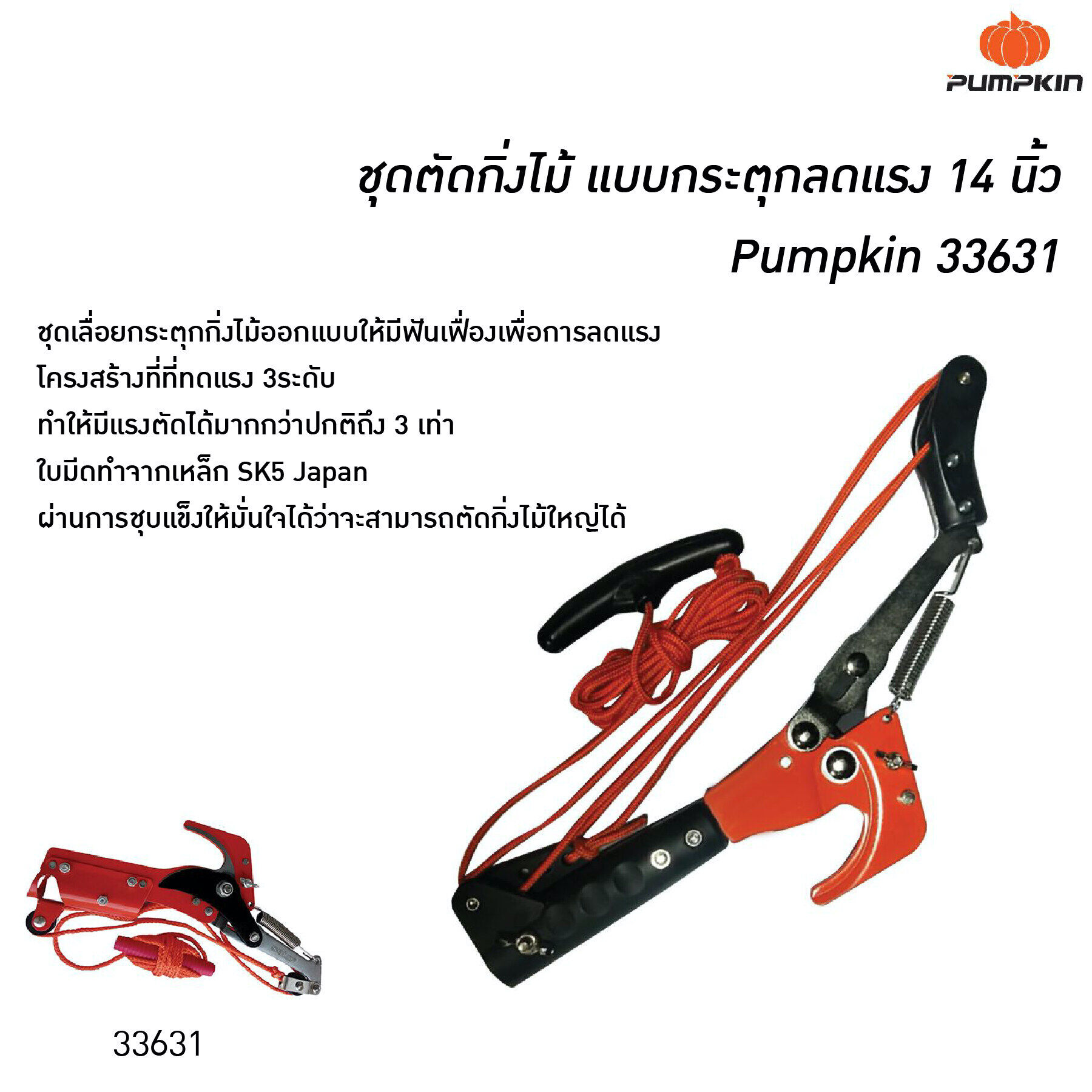 33631-1