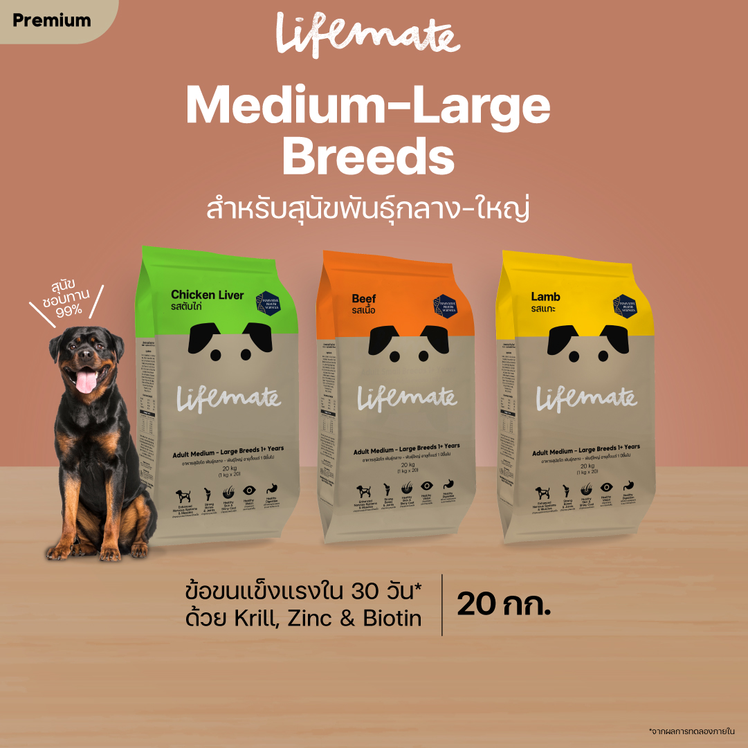 Lifemate อาหารสุนัขโต สำหรับพันธุ์กลาง - พันธุ์ใหญ่ อายุตั้งแต่ 1 ปีขึ้นไป 20 กิโลกรัม ราคา 1,520 บาท*ส่งฟรี