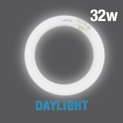 LAMPTAN หลอดนีออนกลม Circular Fluorescent 32W DL