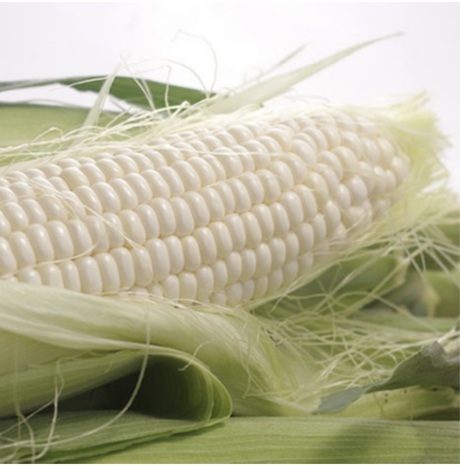 ข้าวโพดหวานฮอกไกโด เจียไต๋1 F1 #CF122-1