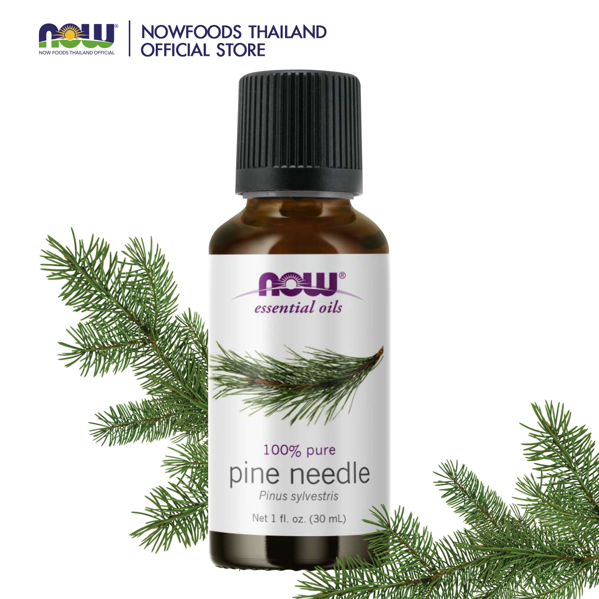 Now Foods Pine Needle Oil 100% pure ราคา 1,054 บาท*ส่งฟรี