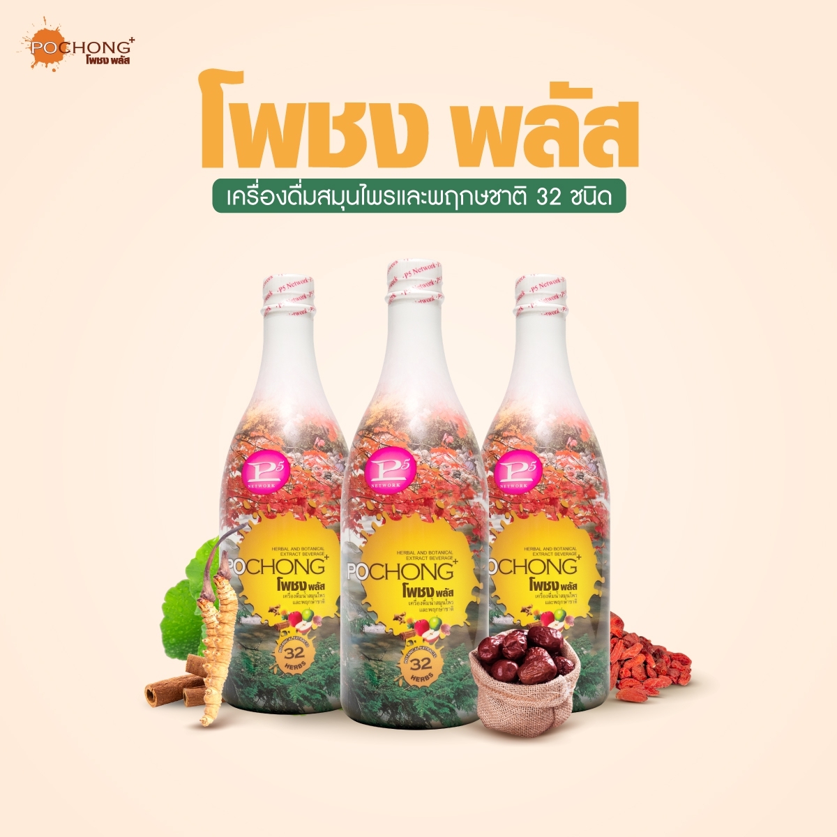 โพชง พลัส (POCHONG PLUS) 3 ขวดใหญ่