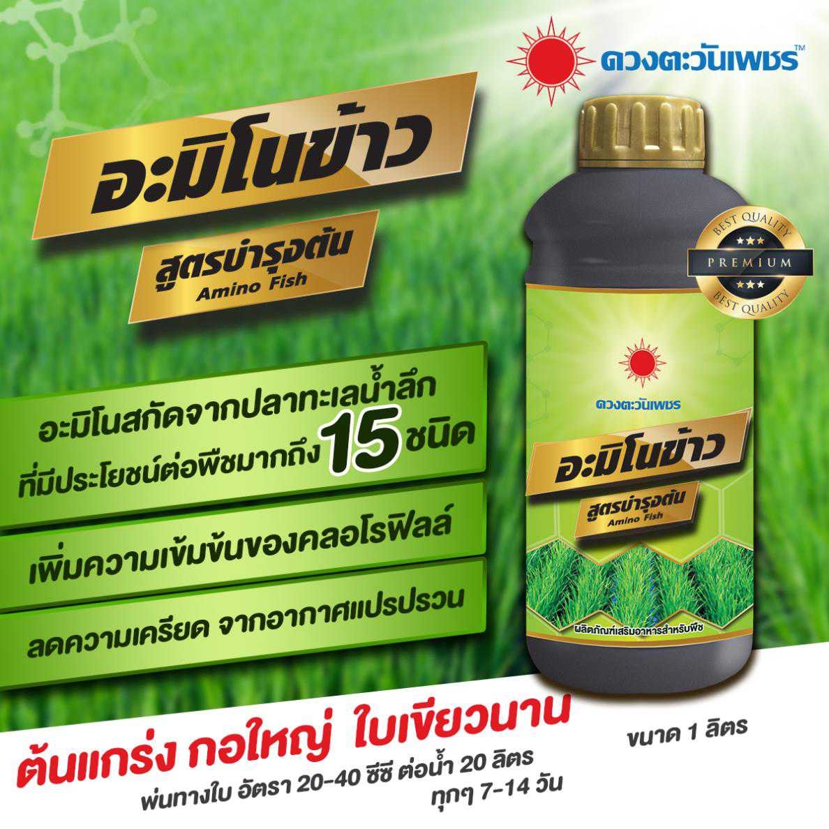 อะมิโนข้าว สูตรบำรุงต้น สำหรับบำรุงต้น-ใบ แตกกอ (ชนิดน้ำ) 1 ลิตร แตกรากดี ข้าวแตกกอใหญ่ ลำต้นแข็งแรง ใบเขียวตั้งตรง เขียวทน เขียวนาน ราคา 340 บาท*ส่งฟรี