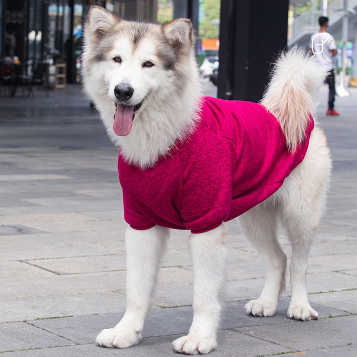 ?เสื้อยืดหมาโต? ไซส์สุนัขโต เสื้อน้องหมาโต กันหนาว เสื้อยืดสุนัข งานเย็บดีตรงปก เสื้อสัตว์เลี้ยง