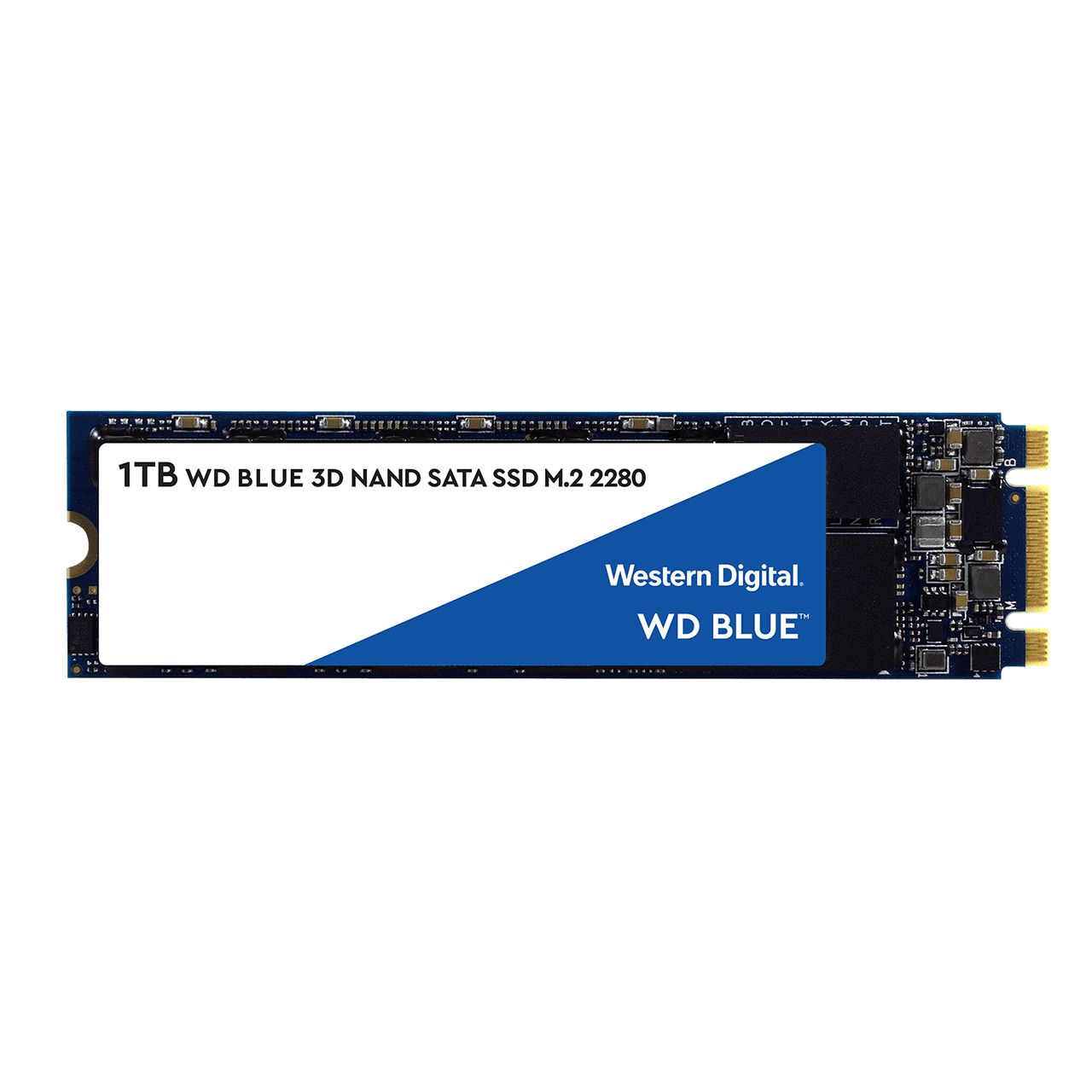 WD BLUE SSD 1TB SATA M.2 2280 3D NAND Read: 560 MB/s  Write: 530 MB/s (WDS100T2B0B) ( เอสเอสดี Solid State Drive )