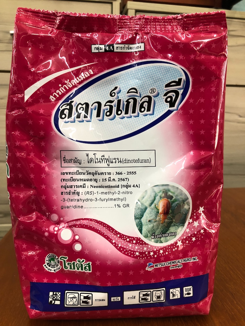 สีชมพู-1