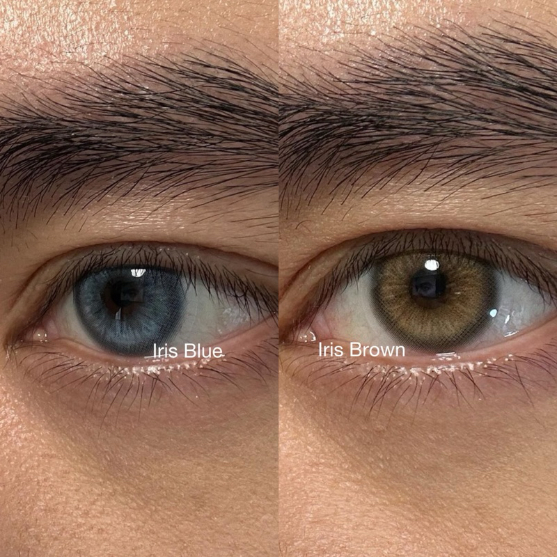 Iris Model, Colored Contact Lenses (with Prescription) ราคา 369 บาท*ส่งฟรี