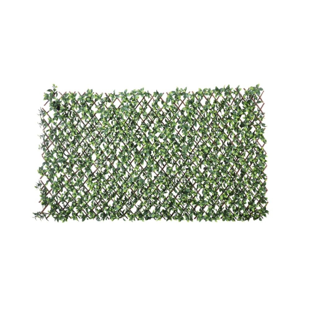 INDEX LIVING MALL LANEY Extendable willowfence 100 x 200 cm. - Green ราคา 1,290 บาท*ส่งฟรี