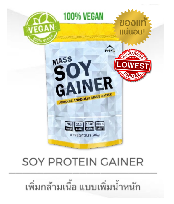 แท้100% มี อย. MS Whey SOY protein GAINER เวย์โปรตีนเพิ่มน้ำหนักและกล้ามเนื้อ ขนาด 2 ปอนด์ 907 กรัม