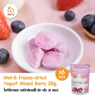 Wel-B Freeze-dried Yogurt Mixed Berry 20g. (Pack 6 pcs.)