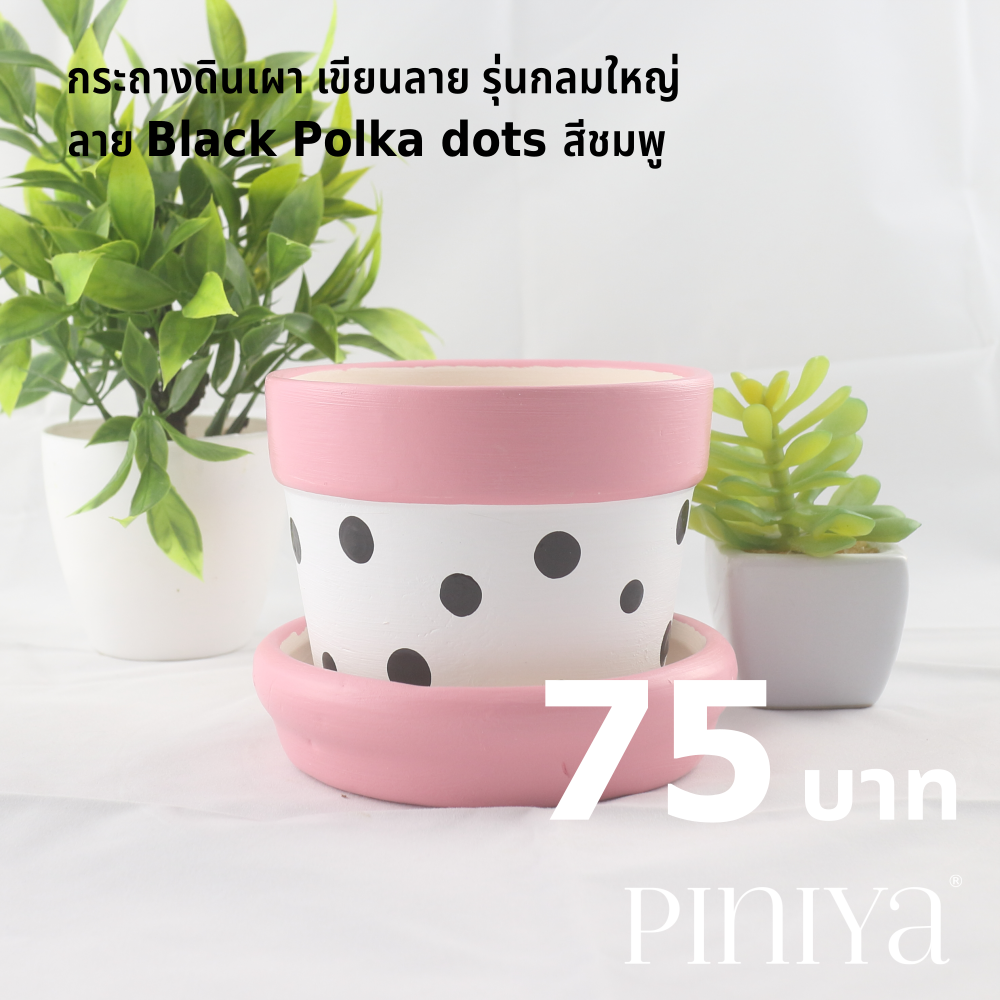 Piniya Large Round Plant Pot, Flower Pot, Earthenware, 11cm, Black Polka dots, Pink - Garden Decor, Gardenware ราคา 75 บาท*ส่งฟรี
