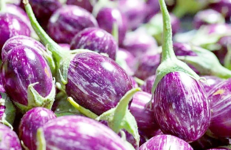 สีม่วง Violet-3