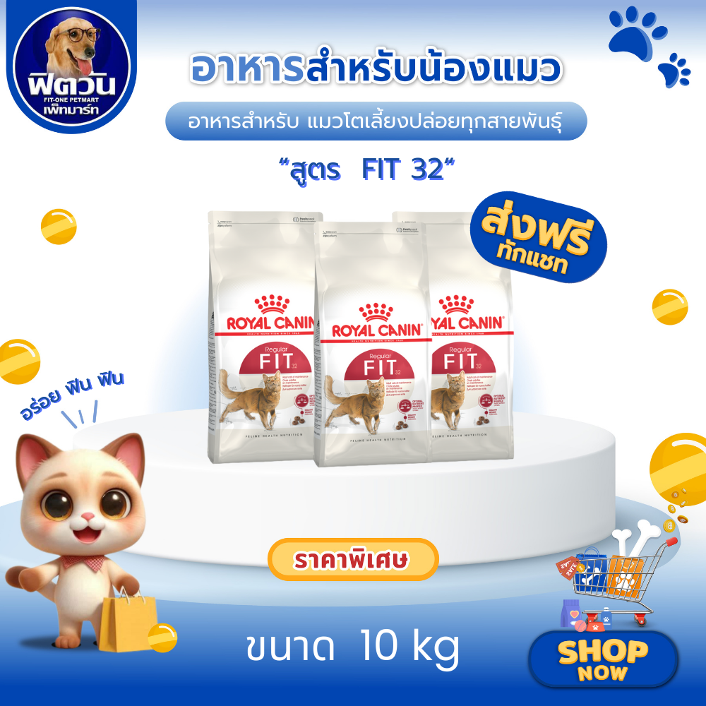 อาหารแมว ROYALCANIN FIT 10 Kg