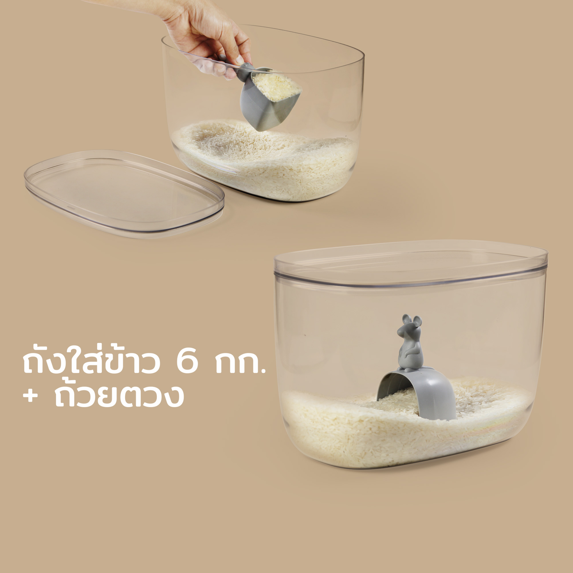 Qualy Lucky Mouse Container ราคา 890 บาท*ส่งฟรี