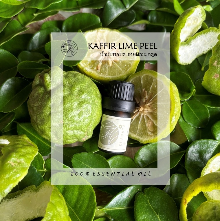 น้ำมันหอมระเหยมะกรูด ชานาญา CHANAYA Kaffir lime peel 100% Essential oil ราคา 95 บาท*ส่งฟรี