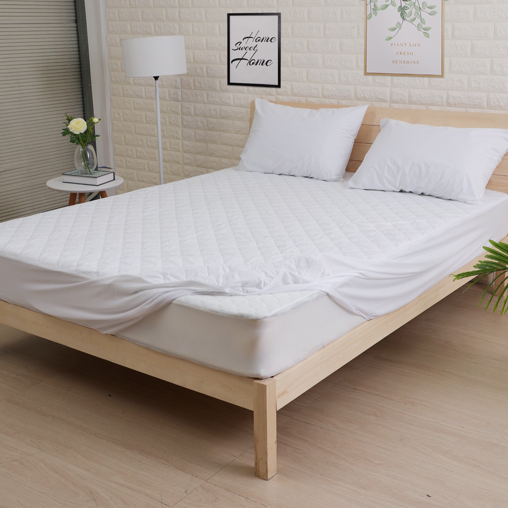 Letto ราคาถูก ซื้อออนไลน์ที่ - ก.ค. 2022 | Lazada.co.th Letto ราคาถูก ซื้อออนไลน์ที่ - ก.ค. 2022 | Lazada.co.th