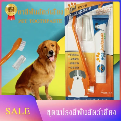 dog and toothpaste cat toothpaste set Pet toothpaste