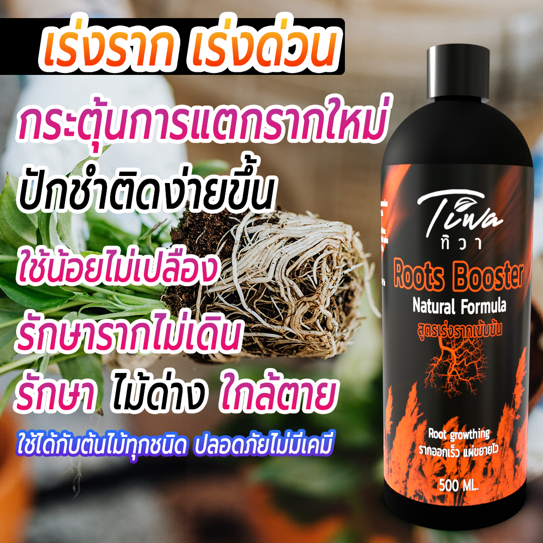 ทิวา Root Booster น้ำยาเร่งราก ช่วยให้พืชแตกรากได้ดี เร่งการแตกรากใหม่ พืชกินอาหารดีขึ้น