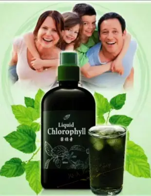 Nn​ Liquid Chlorophyll -​ คลอโรฟิลล์เข้มข้นชนิดน้ำ​ ทานง่าย​ ไม่มีกลิ่น
